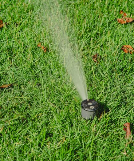 Sprinkler on grass in the garden.