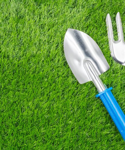 garden tools on grass background.