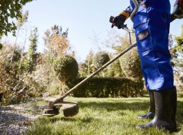 Gardener with weedwacker cutting the grass in the garden