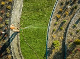 Garden Worker Watering Newly Installed Natural Grass