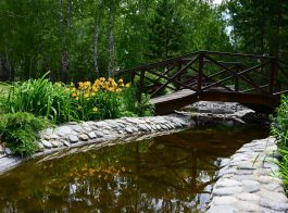 A cozy garden with a decorative lake and a bridge in summer.