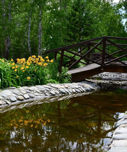 A cozy garden with a decorative lake and a bridge in summer.