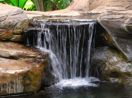 Pond and waterfall in my garden.