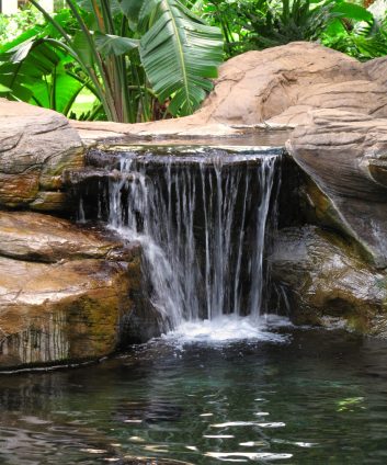 Pond and waterfall in my garden.