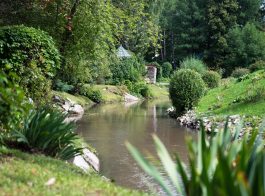 A cozy garden with a decorative lake and a bridge in summer.